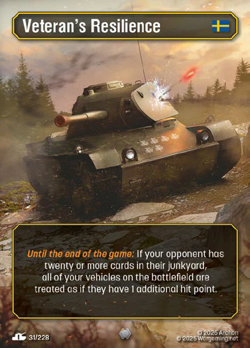 Veteran’s Resilience